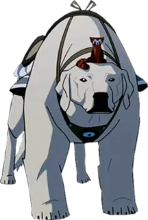 🐕 126162d9 hond, dier, wit, cartoon telegram sticker