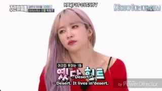 ✖️ 15f164a5 KAMPUPSURNIV
크리스마스
KSHOW ONLINE COM
어자 못하는 1층
옛닫힌트
Desert
- Desert. It lives in desert. by PowerDirector whatsapp sticker