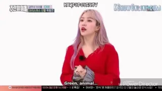 🎡 f54cf632 Green, animal... whatsapp sticker