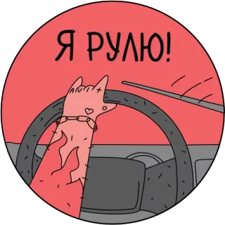 🚗 c4aa656b Я РУЛЮ! 驾驶, 猫, 搞笑, 俄语, 卡通, 贴纸 telegram sticker
