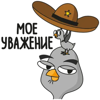 ✋ 6d8276ce hoạt hình, chim, cao bồi, mũ, động vật telegram sticker