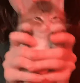 Больше стиков тут: @stikery4 telegram stickers