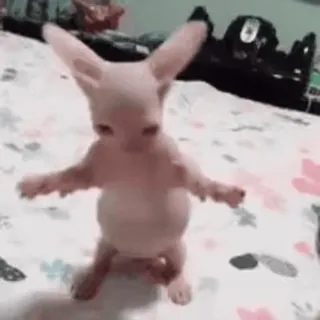 Больше стиков тут: @stikery4 telegram stickers