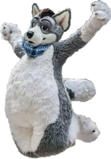 🌴 45256290 Furry, Maskot, Serigala, Karakter, Binatang whatsapp sticker