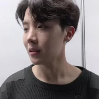🧩 974c0287 person, man, korean, sweater, j-hope, bts telegram sticker