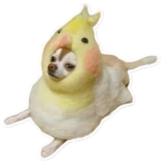 😳 3bae0a74 Hund, Chihuahua, Vogelkostüm, Nymphensittich, Tier, Haustier, lustig, Aufkleber telegram sticker
