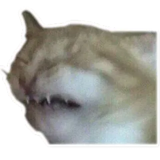 🤢 de58adc6 hund, meme, cheems, tier, haustier telegram sticker