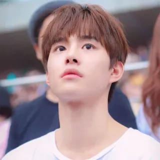 🙄 ffc745bd telegram sticker