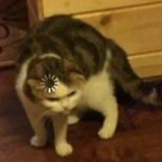 😓 b2bf695a kucing, memuat, lucu, binatang, meme telegram sticker