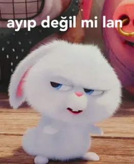 🙄 2872d590 Snowball The Secret Life of Pets ayıp değil mi lan Снежок, кролик, зайчик, Тайная жизнь домашних животных, мультфильм, фильм, мультик telegram sticker