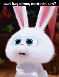 🤨 36be78db saat kaç olmuş nerdesin sen? кролик, белый кролик, обеспокоен, милый, животное, кролик telegram sticker