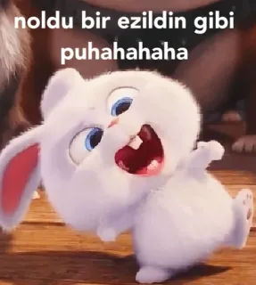 😈 4112e429 noldu bir ezildin gibi puhahahaha зайчик, мультик, мем, юмор, смешной telegram sticker