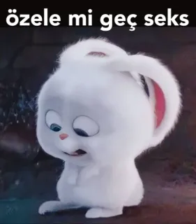 🙈 4287914d özele mi geç seks кролик, белый, мультфильм, анимированный, текст, оскорбительный telegram sticker