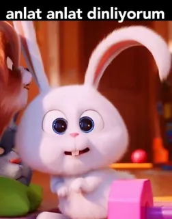 🤭 50ac1f74 anlat anlat dinliyorum кролик, зайчик, слушает, анимация, милый telegram sticker