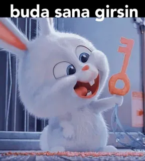 🖕 945361a8 Snowball The Secret Life of Pets buda sana girsin зайчик, кролик, ключ, анимированный, мультяшный, смешной telegram sticker