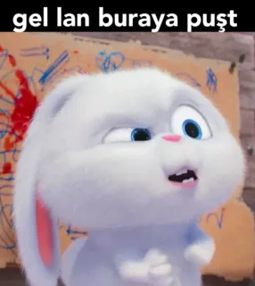 😤 a618ec89 gel lan buraya puşt кролик, заяц, мультфильм, смешной, мем telegram sticker