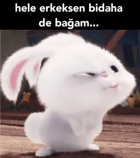 🔪 e2961748 hele erkeksen bidaha de bağam... зайчик, животное, мем, милый, смешной, кролик telegram sticker