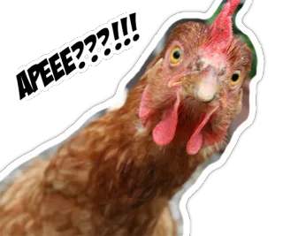 Mining telegram stickers