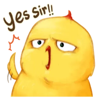 🐥 b907838d Yes sir!! cute, chicken, yes sir, cartoon, yellow, approval whatsapp sticker