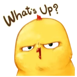 🐥 d9e5026e What's Up? chicken, bird, cute, animal, cartoon, question, greeting whatsapp sticker