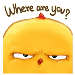 🐥 e21390d5 Where are you? chicken, cute, cartoon, bird, question whatsapp sticker