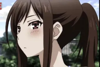 😯 1944fe4f anime, ragazza, piangendo, triste, coda di cavallo whatsapp sticker