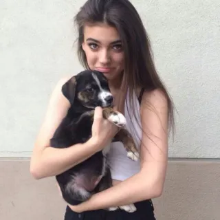 ✨ bcbb5a40 femme, chiot, chien, animal de compagnie, animal, mignon, fille, ami, joyeux telegram sticker