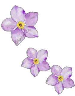 🌸 04045077 bunga, ungu, berbunga, alam, tanaman, karya seni, gambar telegram sticker