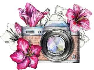 📸 6d3dd4ef kamera, bunga, fotografi, berbunga, vintage, retro telegram sticker