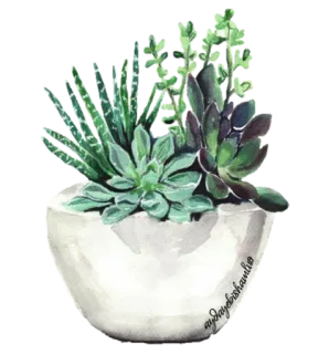 🪴 fad9801e mydaybydaystudio tanaman, sukulen, tanaman hias, botani, cat air, hijau, alam, dekorasi telegram sticker