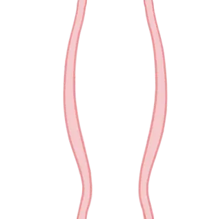 🐰 9953a34f telegram sticker