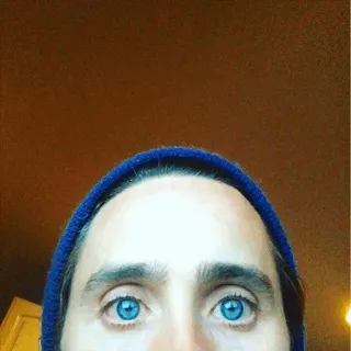 😶 d52cdf7a telegram sticker