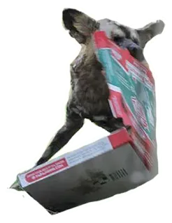 🍕 301b34eb telegram sticker