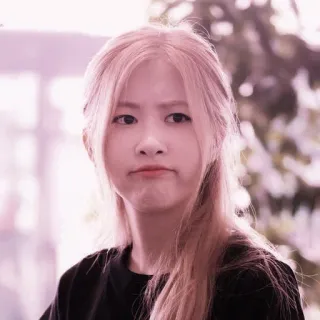 🥰 f31b9201 koreanisch, weiblich, porträt, junge Frau, neutraler Ausdruck, blondes Haar telegram sticker