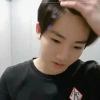 🐤 e6ed8aef telegram sticker