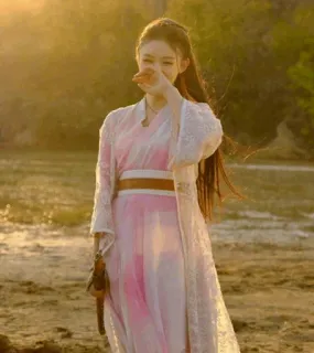 💮 d6d80832 femme, robe, épée, fantaisie, historique whatsapp sticker