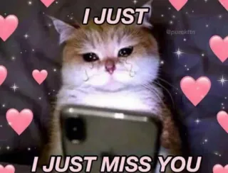🐱 8ebf4491 I JUST
I JUST MISS YOU 고양이, 보고싶어, 슬픔, 하트, 밈 telegram sticker