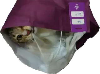 👽 97ecb053 telegram sticker