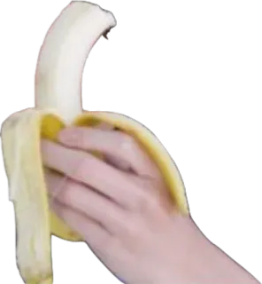 🍌 218eeefb plátano, fruta, comida, cáscara, mano, amarillo telegram sticker