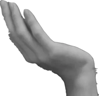 💁 5db8bfff mano, brazo, gris, cuerpo, humano telegram sticker