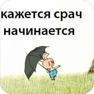 🫥 3af1c7d8 кажется срач начинается cochon, parapluie, dessin animé, texte russe, drôle whatsapp sticker