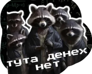 🫥 50ec69bf тута денех нет ratons laveurs, animaux, russe, texte, gang, drôle whatsapp sticker