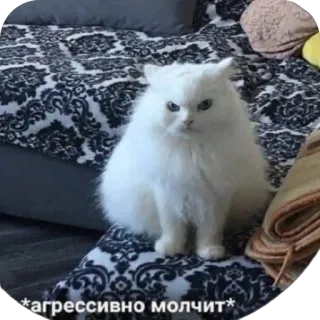 😡 7d688b4e *агрессивно молчит* chat, drôle, animal, mème, russe whatsapp sticker
