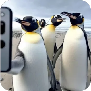 🫥 82e02501 manchots, selfie, plage, animaux, oiseaux, groupe, photographie whatsapp sticker