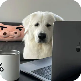 🫥 af6d403a chien, ordinateur portable, bureau, ordinateur, animal de compagnie, travail, mignon, animal whatsapp sticker