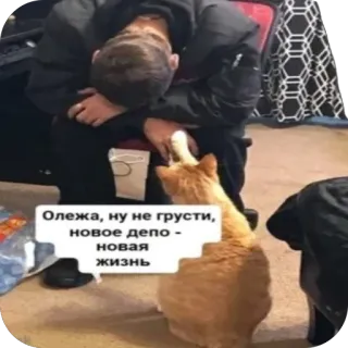 😉 da8ee770 Олежа, ну не грусти, новое депо - новая жизнь chat, encouragement, russe, réconfort, positif whatsapp sticker
