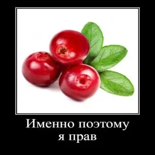 😌 1a0eaa4f Именно поэтому я прав Cranberry, Beeren, Obst, Essen, Meme telegram sticker