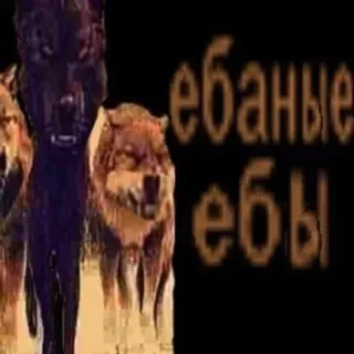 🐺 1e2c0e4a ебаные
ебы wölfe, tiere, fluchen telegram sticker