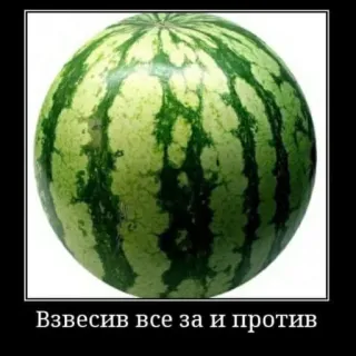 🍉 4ef53b79 Взвесив все за и против Wassermelone, Obst, Essen, Gleichgewicht, Vor- und Nachteile telegram sticker