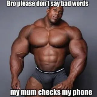 🤫 f3bbcea7 Bro please don't say bad words
my mum checks my phone Meme, Humor, Internet Meme, Bodybuilder, Lustig telegram sticker